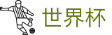 2026美加墨世界杯官方入口 - 中文官方网站